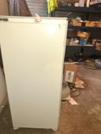 Pelgrim Koelkast A+ (BGM2500SKEP), Witgoed en Apparatuur, Koelkasten en IJskasten, Ophalen, 150 tot 200 liter, Energieklasse A of zuiniger