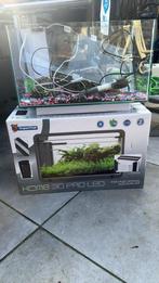 Aquarium superfish, Ophalen of Verzenden