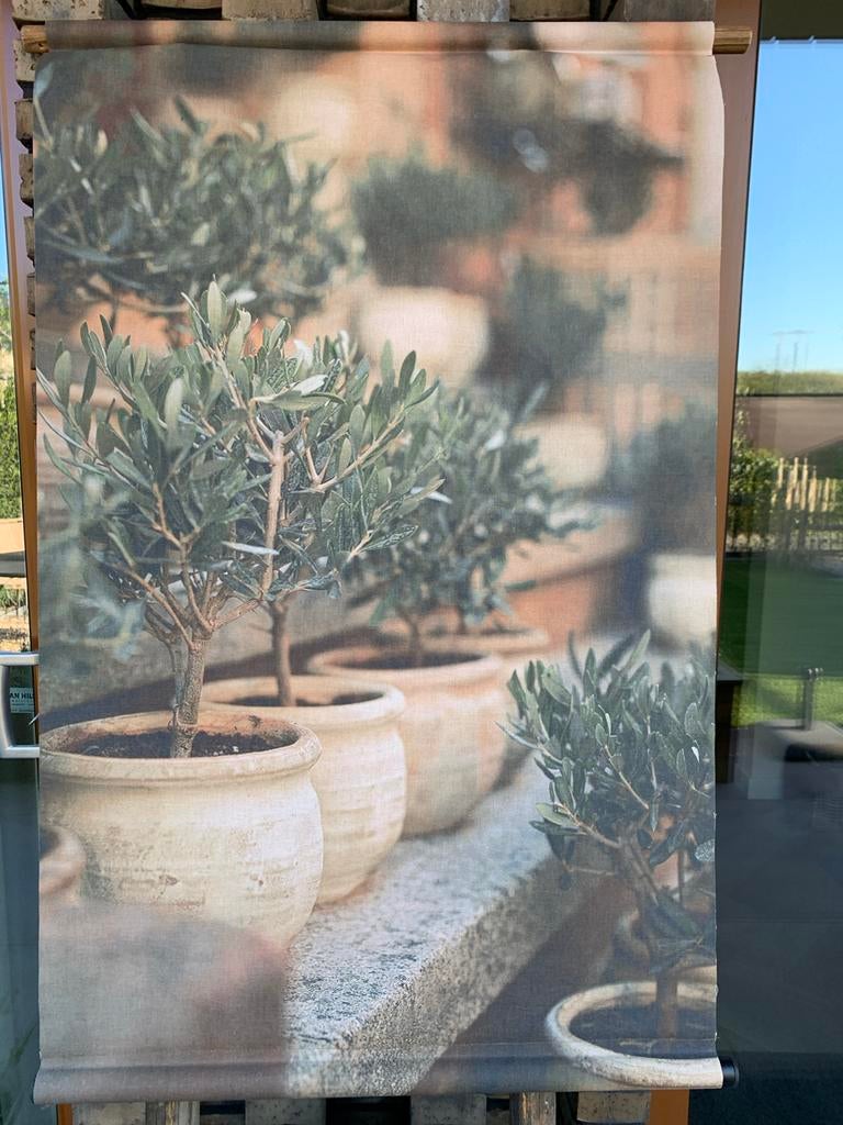 Wandkleed Tuinposter Olijfbomen Mediterrane Sfeer voor Thuis, Huis en Inrichting, Woonaccessoires | Wanddecoraties, Zo goed als nieuw