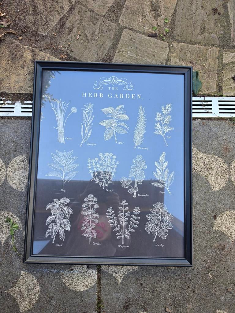 Schilderij zgan, Minder dan 50 cm, Ophalen of Verzenden, Zo goed als nieuw, Schilderij