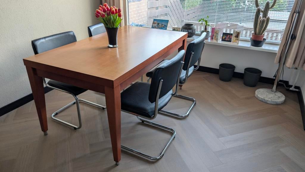 Uitschuifbare eettafel (160-230cm) met 6 leren stoelen, Huis en Inrichting, Tafels | Eettafels, Gebruikt, 50 tot 100 cm, 150 tot 200 cm