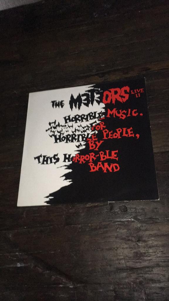 The meteors, Cd's en Dvd's, Vinyl | Rock, Ophalen of Verzenden, Gebruikt, 12 inch, Poprock