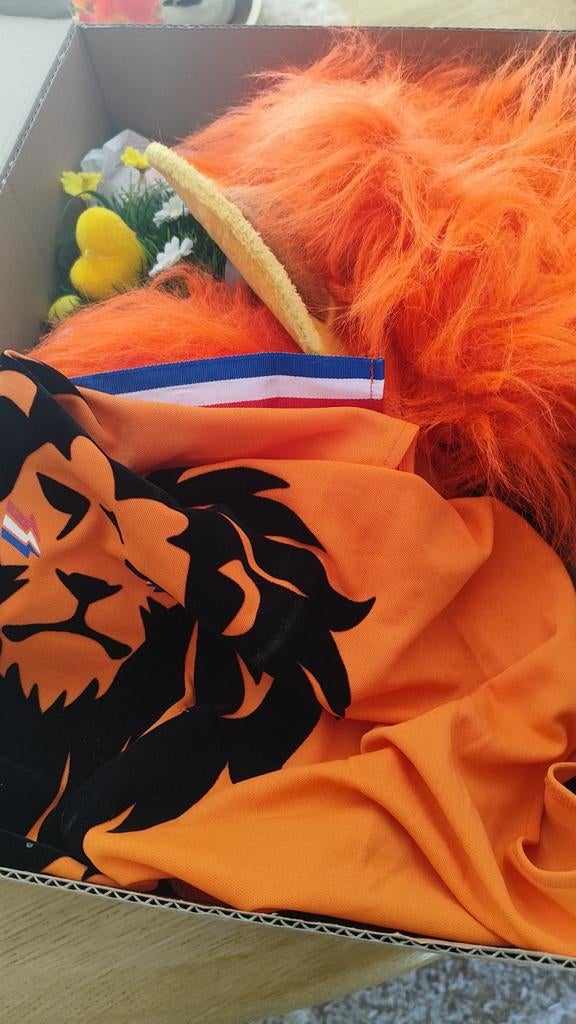 Koningsdag spullen ophalen in Monster, Diversen, Ophalen