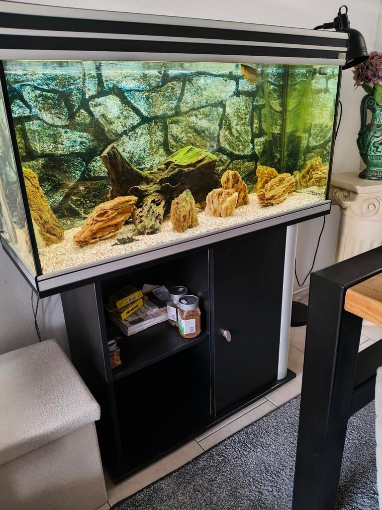 Aqualantis aquarium, Dieren en Toebehoren, Vissen | Aquaria en Toebehoren, Ophalen, Gebruikt, Gevuld zoetwateraquarium