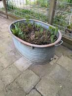 Zonken teilen ijzeren tuindecoratie gietijzer brievenbus, Ophalen, Minder dan 30 cm, Rond, Zo goed als nieuw