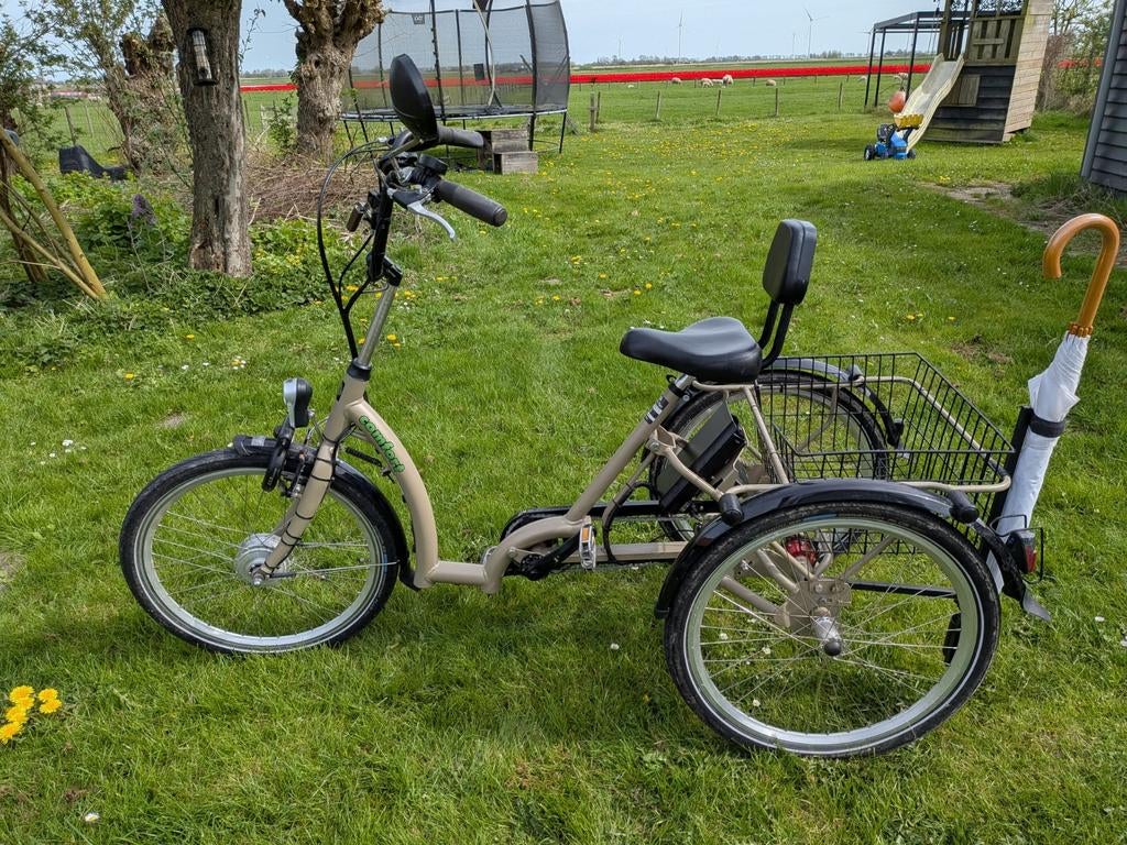 Pau-Tech Comfort driewieler, Fietsen en Brommers, Fietsen | Driewielfietsen, Ophalen of Verzenden, Gebruikt