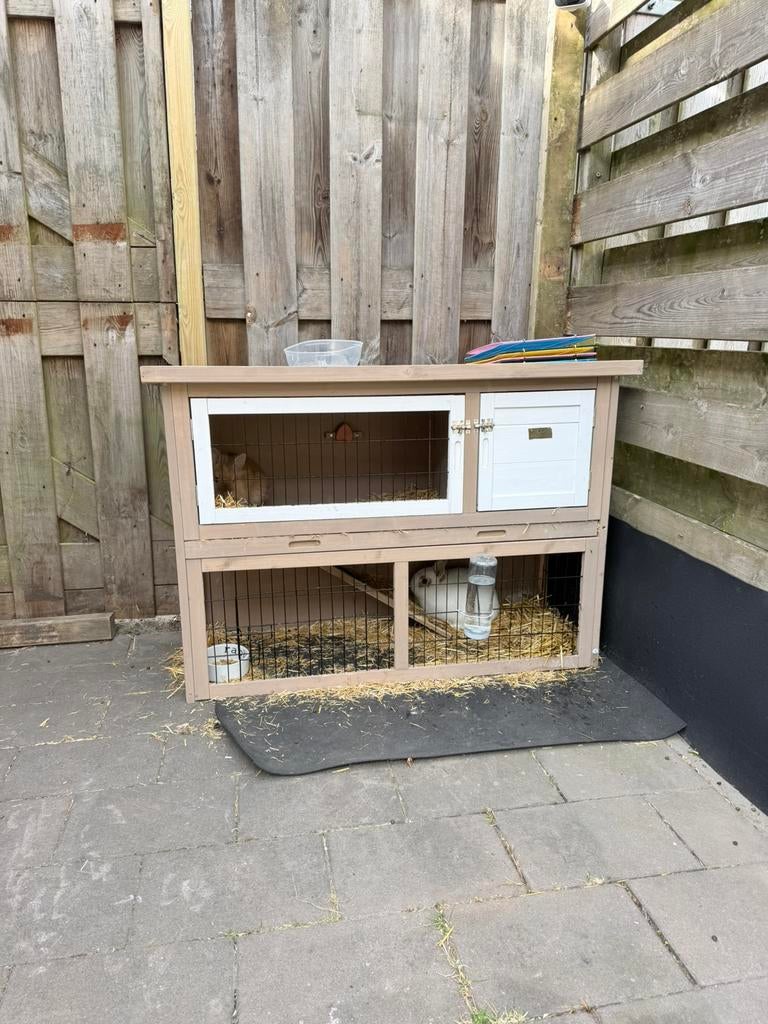 Konijnenhok met konijnen gratis af te halen., Dieren en Toebehoren, Konijnen, Meerdere dieren