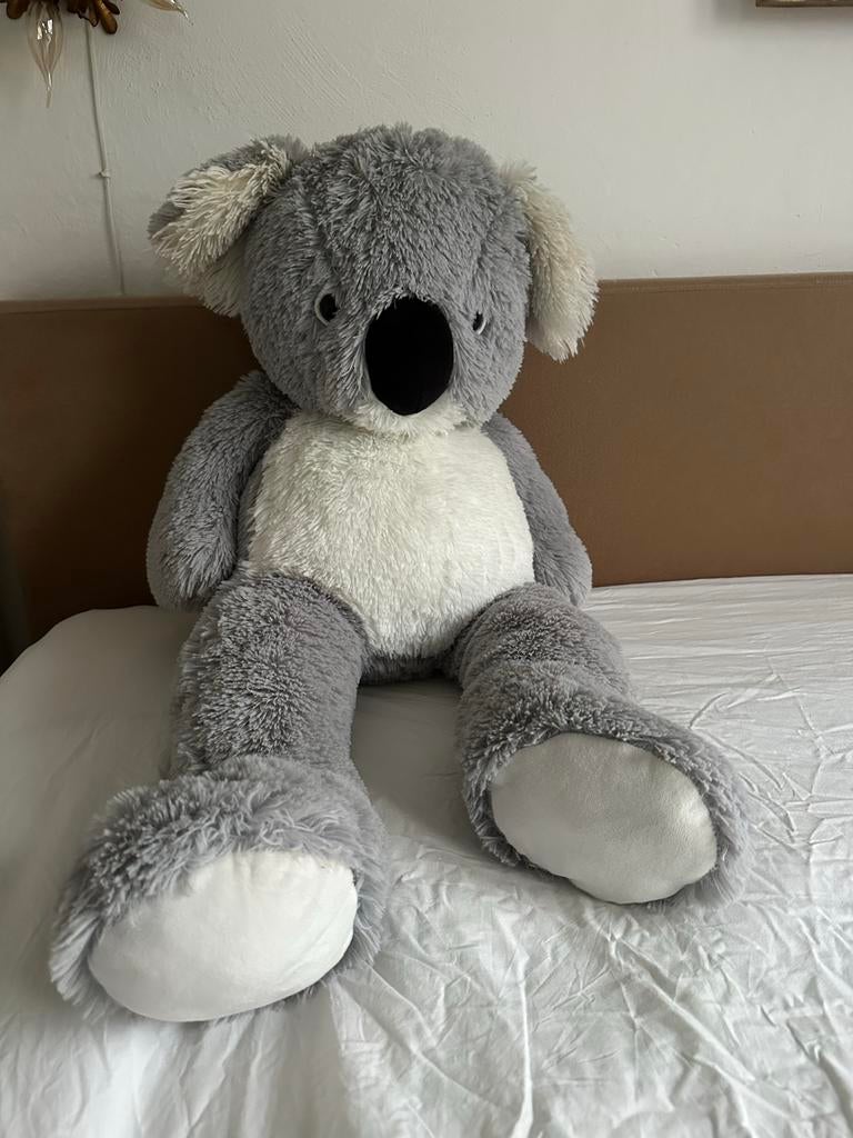 Reuze Koala Beer - Nieuw, 1 Meter Hoog Knuffeldier, Ophalen of Verzenden, Nieuw, Overige typen
