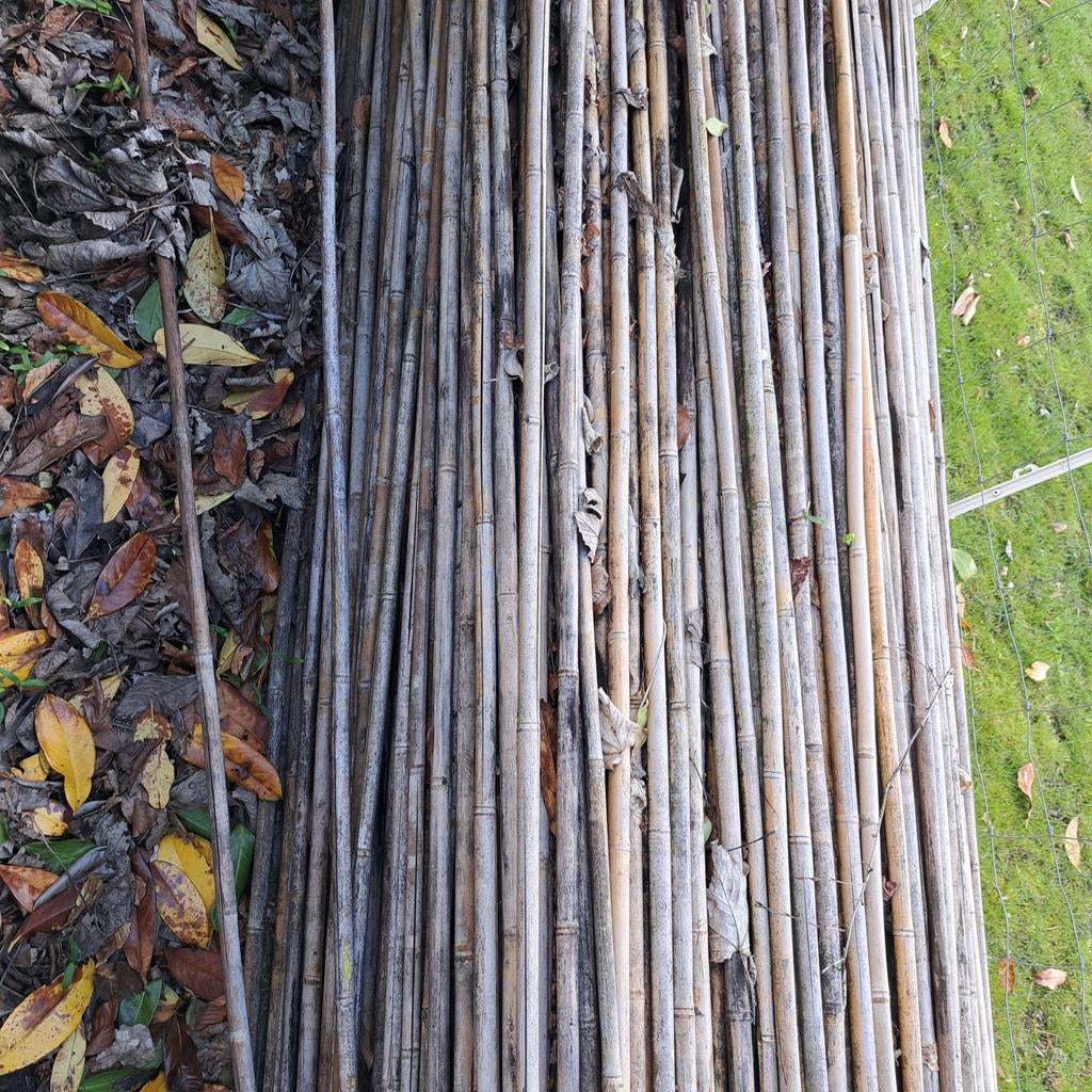 Bamboe stokken., Ophalen