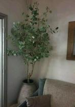 Prachtige kunst eucalyptus  - plant - boom - 180 cm, Ophalen of Verzenden, Nieuw, Binnen