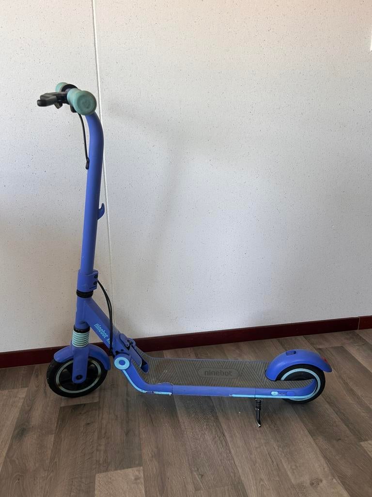 Zing Ninebot E8 elektrische step, Ophalen of Verzenden, Gebruikt, Elektrische step (E-scooter)