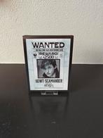 Fantastic beasts and where to find them full-slip/steelbook, Cd's en Dvd's, Blu-ray, Ophalen of Verzenden, Zo goed als nieuw, Science Fiction en Fantasy