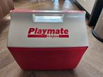 Vintage 80s Playmate by Igloo koelbox, Ophalen of Verzenden, Gebruikt, Koelelement