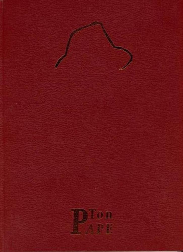 Ton Pape, Boeken, Kunst en Cultuur | Beeldend, Zo goed als nieuw, Schilder- en Tekenkunst, Ophalen of Verzenden