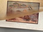 De Indische Zeevisschen en Zeevisscherij (1934), Ophalen of Verzenden