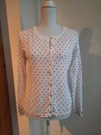 Tommy Hilfiger vestje wit met rode tippen - mt S, Verzenden, Wit, Zo goed als nieuw, Maat 36 (S)