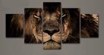 Canvas Schilderij Leeuw - Prachtige Wanddecoratie, Ophalen, Nieuw