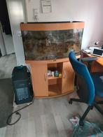 Te koop aqarium, Dieren en Toebehoren