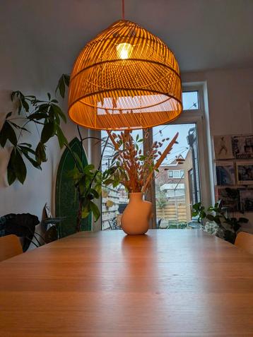 Mooie rieten limited zelf ontworpen hanglamp 40x35 cm hoog beschikbaar voor biedingen