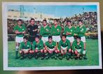 Voetbalplaatje Panathinaikos, Ophalen of Verzenden, Gebruikt, Buitenlandse clubs, Poster, Plaatje of Sticker