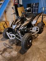 Aeon AR56 Quad - 2011 - 20 pk, Motoren, 313 cc, 1 cilinder, 12 t/m 35 kW