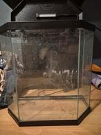 25l Ciano aquarium, Dieren en Toebehoren, Ophalen, Leeg aquarium