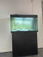 Aquarium, Dieren en Toebehoren, Ophalen of Verzenden, Zo goed als nieuw, Gevuld zoetwateraquarium