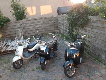 Te koop: 3 scooters – €450 totaal

Drie nette scooters te ko beschikbaar voor biedingen