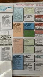 Postduif duivin wit, Dieren en Toebehoren, Vogels | Duiven, Vrouwelijk, Kropper