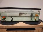 2x goudvissen met klein aqaurium, Dieren en Toebehoren, Vissen | Aquaria en Toebehoren, Ophalen, Gebruikt, Leeg aquarium