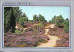 Putten- -Heidelandschap., Verzenden, 1980 tot heden, Gelopen, Gelderland
