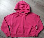 roze en groene trui Zara maat L, Kleding | Dames, Truien en Vesten, Overige kleuren, Zara, Maat 42/44 (L), Ophalen of Verzenden