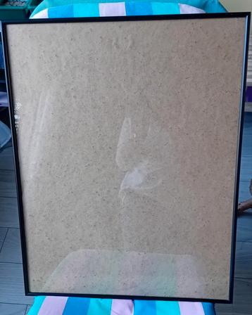 Fotolijst, groot, zwart, glas 72 cm bij 56 cm beschikbaar voor biedingen