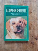 Labrador Retriever, Ophalen of Verzenden, Zo goed als nieuw