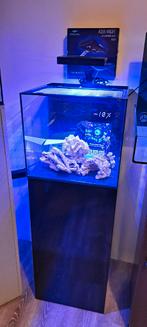 Waterbox aquarium met lamp, Ophalen, Leeg aquarium