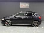 Volkswagen POLO 2.0 TSI GTI, Auto's, 1272 kg, 15 km/l, Gebruikt, 4 cilinders