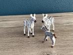 Playmobil Zebrafamilie – 6641, Ophalen, Zo goed als nieuw, Complete set