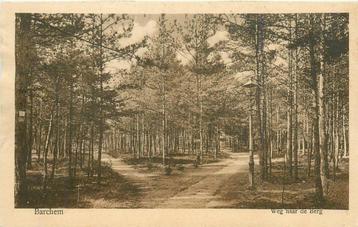 (388-104-011) Barchem Weg naar de Berg beschikbaar voor biedingen