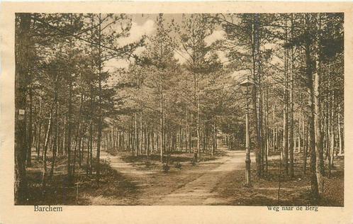 (388-104-011) Barchem Weg naar de Berg, Verzamelen, Ansichtkaarten | Nederland, Gelderland, Ophalen of Verzenden
