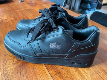 Lacoste maat 40 beschikbaar voor biedingen
