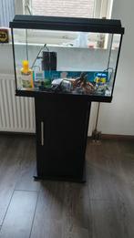 Aquarium Juwel Primo 60 met meubel, Ophalen, Zo goed als nieuw, Leeg aquarium