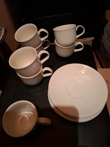Barrets Koffiekopjes met Schotel (7 stuks) beschikbaar voor biedingen