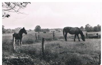 Laag Soeren. Landschap beschikbaar voor biedingen