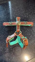 Halsband hond nieuw!, Ophalen of Verzenden, Nieuw