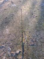 Longeerzweep van Lammert Haanstra, Ophalen, Gebruikt, Overige soorten