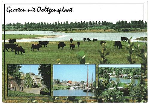 963855	Ooltgensplaat	ZH	Mooie Oude kaart onbeschreven, Verzamelen, Ansichtkaarten | Nederland, Ongelopen, Zuid-Holland, Ophalen of Verzenden