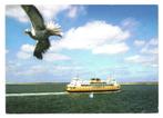 990064	Texel	Veerboot	_Gelopen met mooie zegel	Verloving Wil