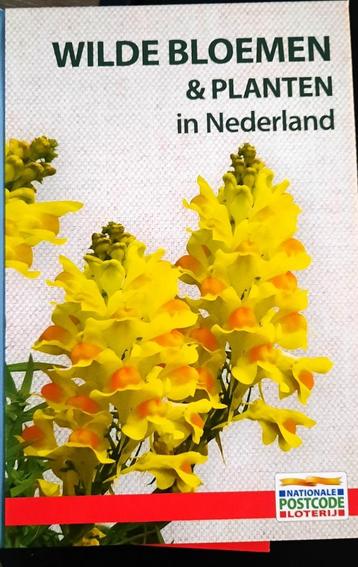 Wilde Bloemen en Planten beschikbaar voor biedingen