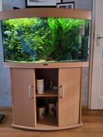 Juwel Vision 180 led, panorama aquarium., Dieren en Toebehoren, Vissen | Aquaria en Toebehoren, Ophalen, Zo goed als nieuw, Gevuld zoetwateraquarium