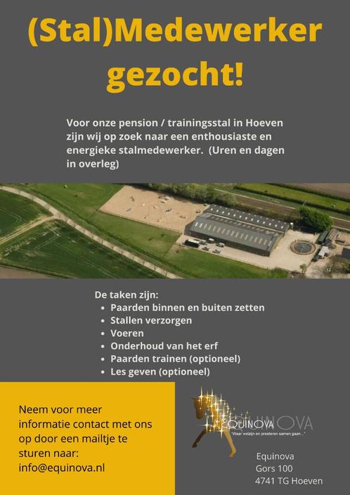 (Stal)Medewerker @Equinova te Hoeven NB gezocht!, Diensten en Vakmensen, Dieren | Paarden | Verzorging, Oppas en Les, Gedragstraining